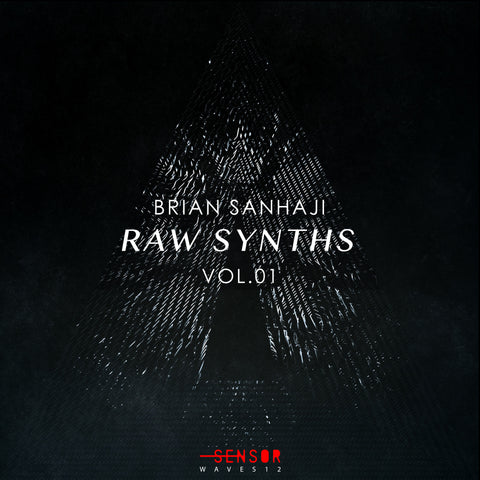 RAW SYNTHS VOL.1