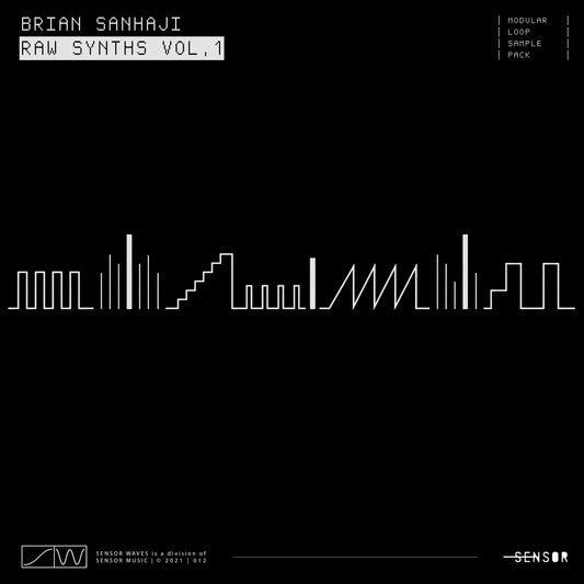 RAW SYNTHS VOL.1