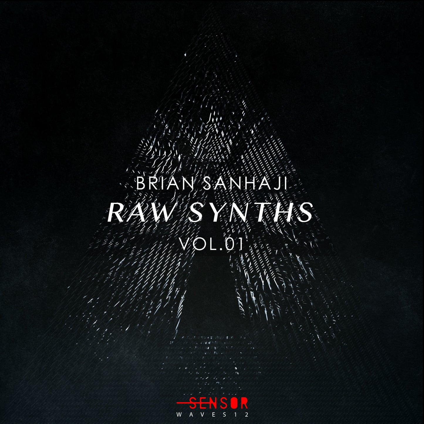 RAW SYNTHS VOL.1