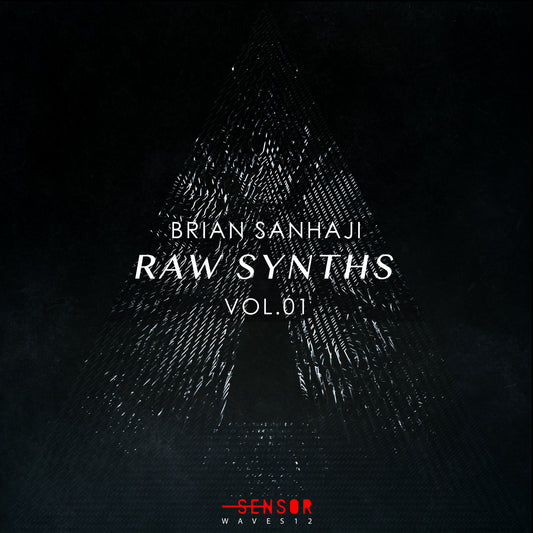 RAW SYNTHS VOL.1